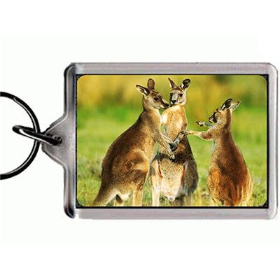 3D KEYRING KANGAROO